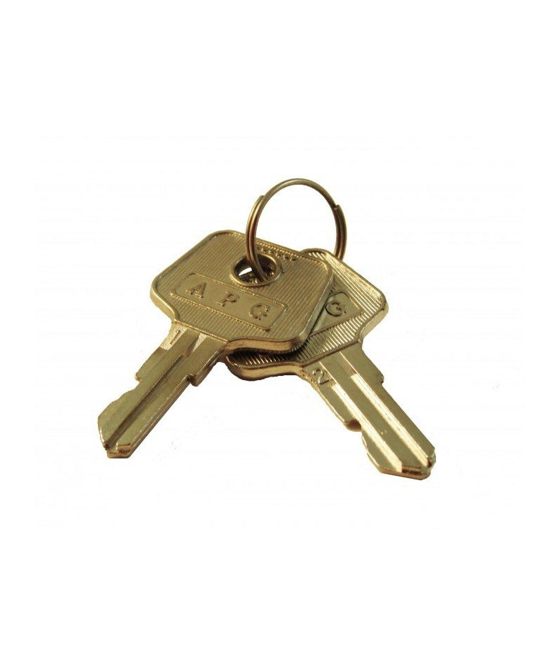 APG, SPARE PART, VASARIO KEY, CODED 542 TWO KEYS